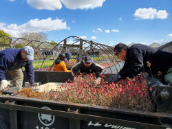 New Yorkers For Parks | NY4P In NYC Parks: NYC Parks Greenthumb ...