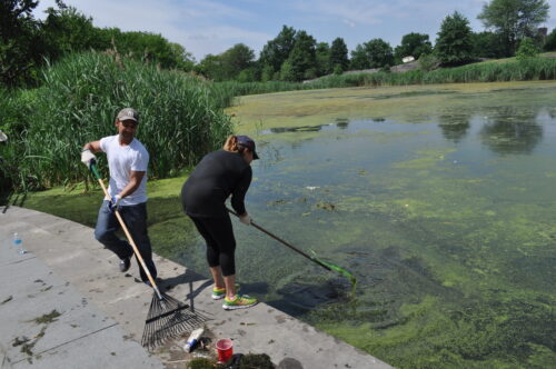 Volunteers participate in a lake clean up in Crotona Park in the Bronx