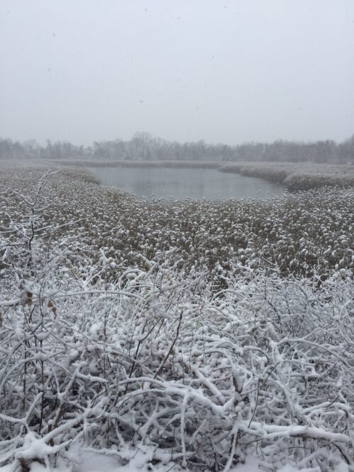 Citywide winner: Highland Park Ridgewood Reservoir, Brooklyn/Queens, photo by Jessica