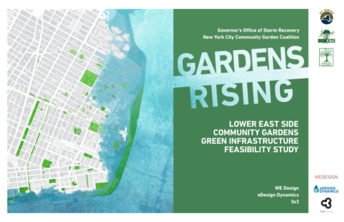 The cover of the report commissioned by the New York City Community Garden Coalition on behalf of the Governor’s Office of Storm Recovery. Released in 2016, the report is called "Gardens Rising: Lower East Side Community Gardens Green Infrastructure Feasibility Study." It was done by WE Design, eDesign Dynamics, and 3x3. Retrieved from: http://gardensrising.org/wp-content/uploads/2016/12/161205_Report100F.pdf